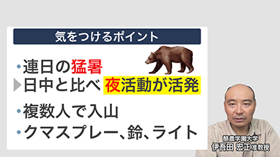 専門家「夜の登山はリスクが高まる」