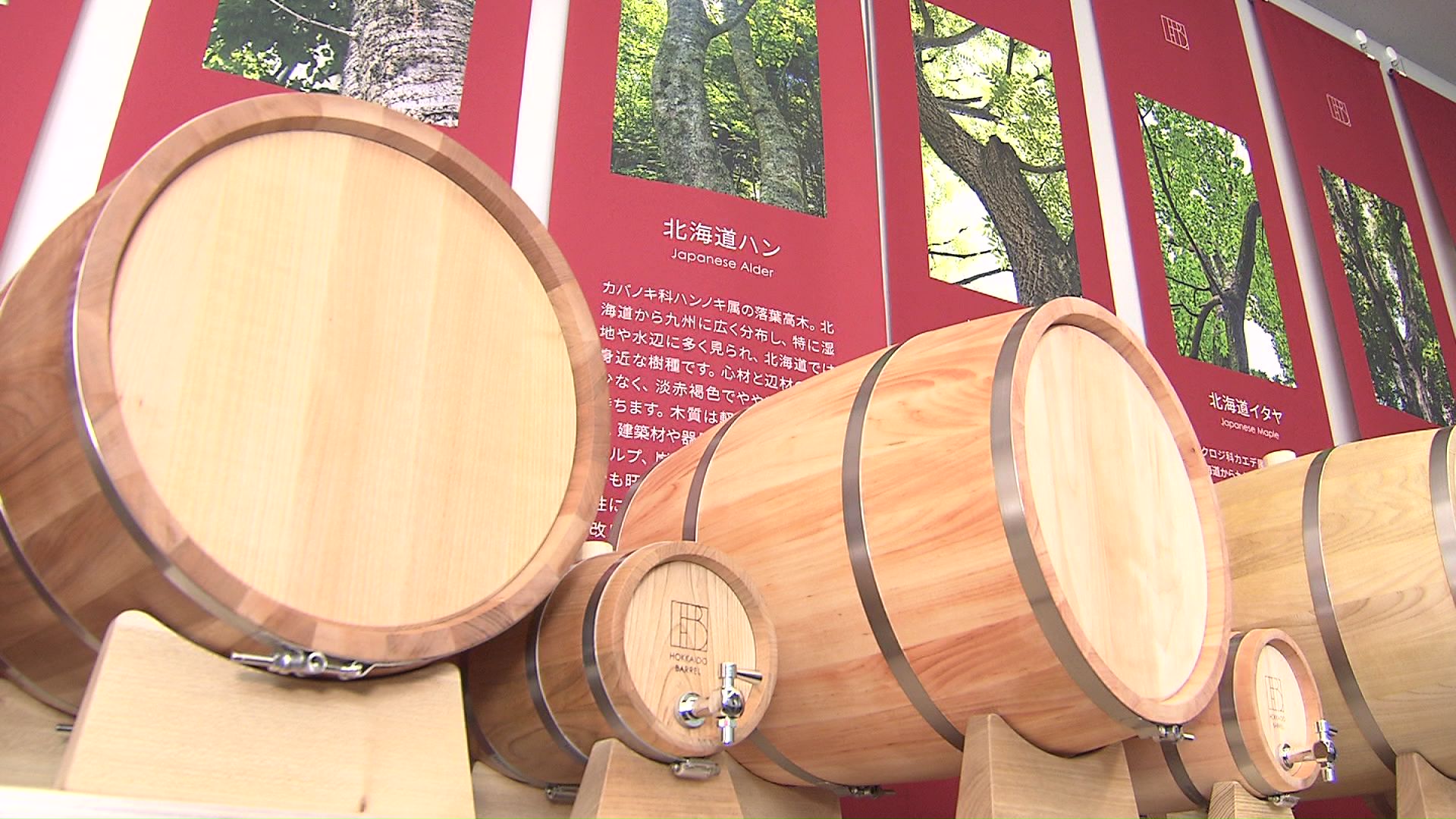 旭川家具づくりのノウハウ活用！ナラやサクラなど12種類の道産木材で作った“洋酒用の樽”販売へ―「世界でどこも作っていない」2.5リットルと30リットルの2種類を受注生産で販売