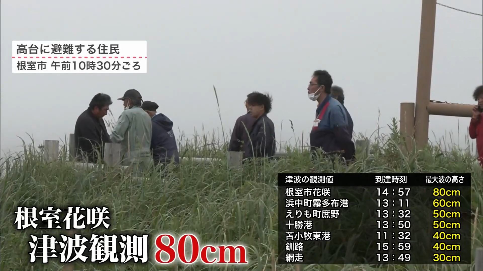 根室市花咲で80センチの津波を観測（午後2時57分）
