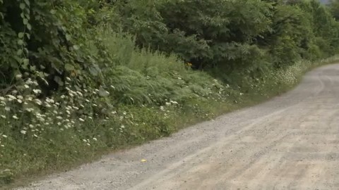 クマが目撃された現場(函館市)