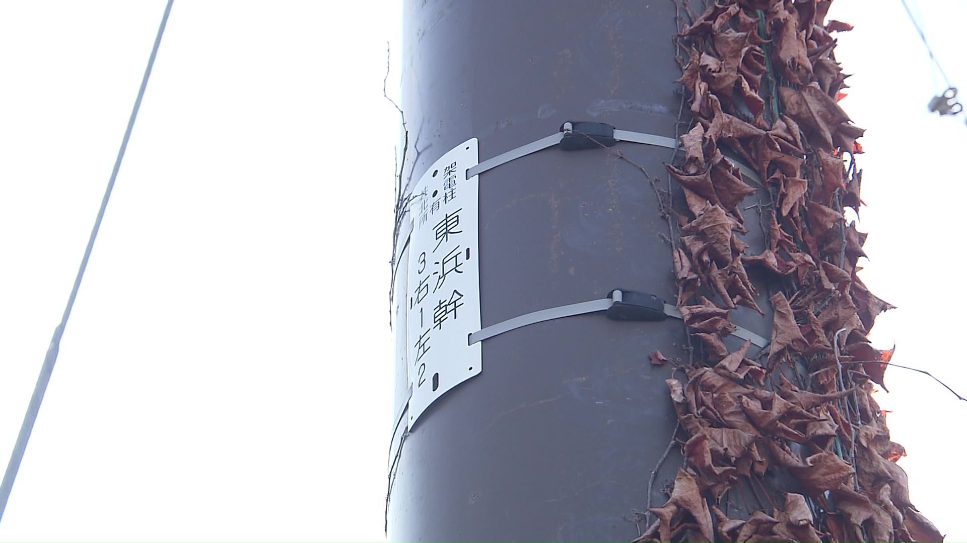 老朽化した電柱の保守・点検が追い付かなくなる?