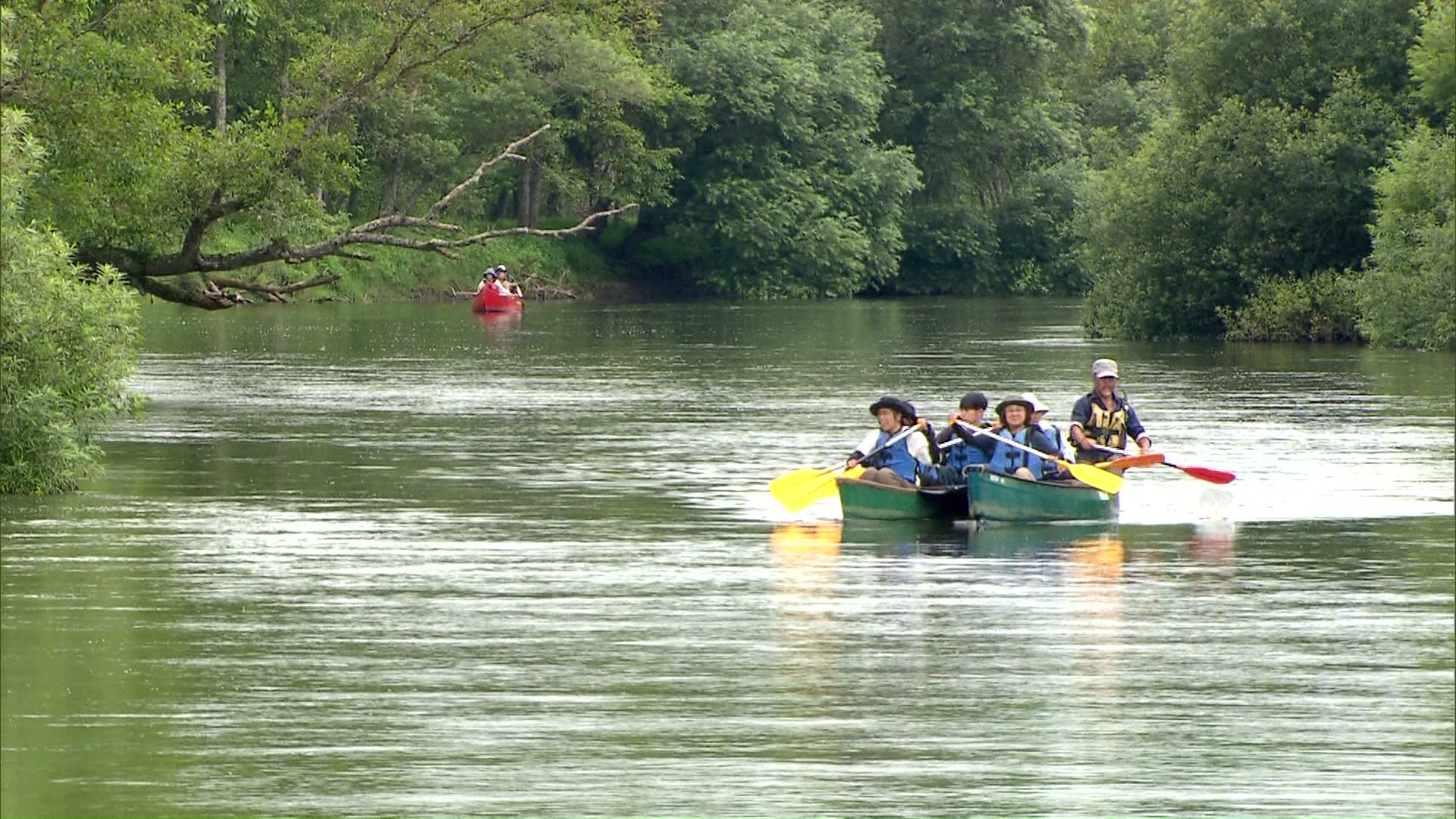 釧路川ではカヌーを楽しむ人が