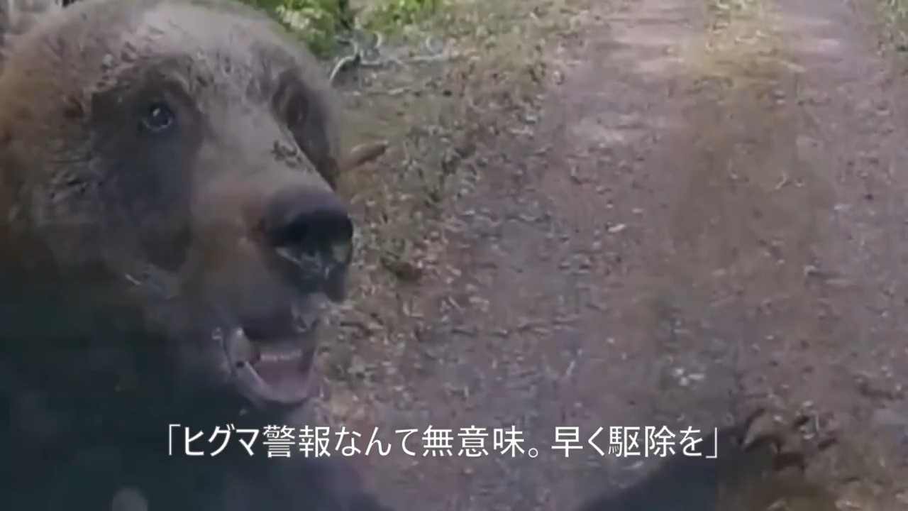 積極的な駆除を求める声も(画像提供:道警)