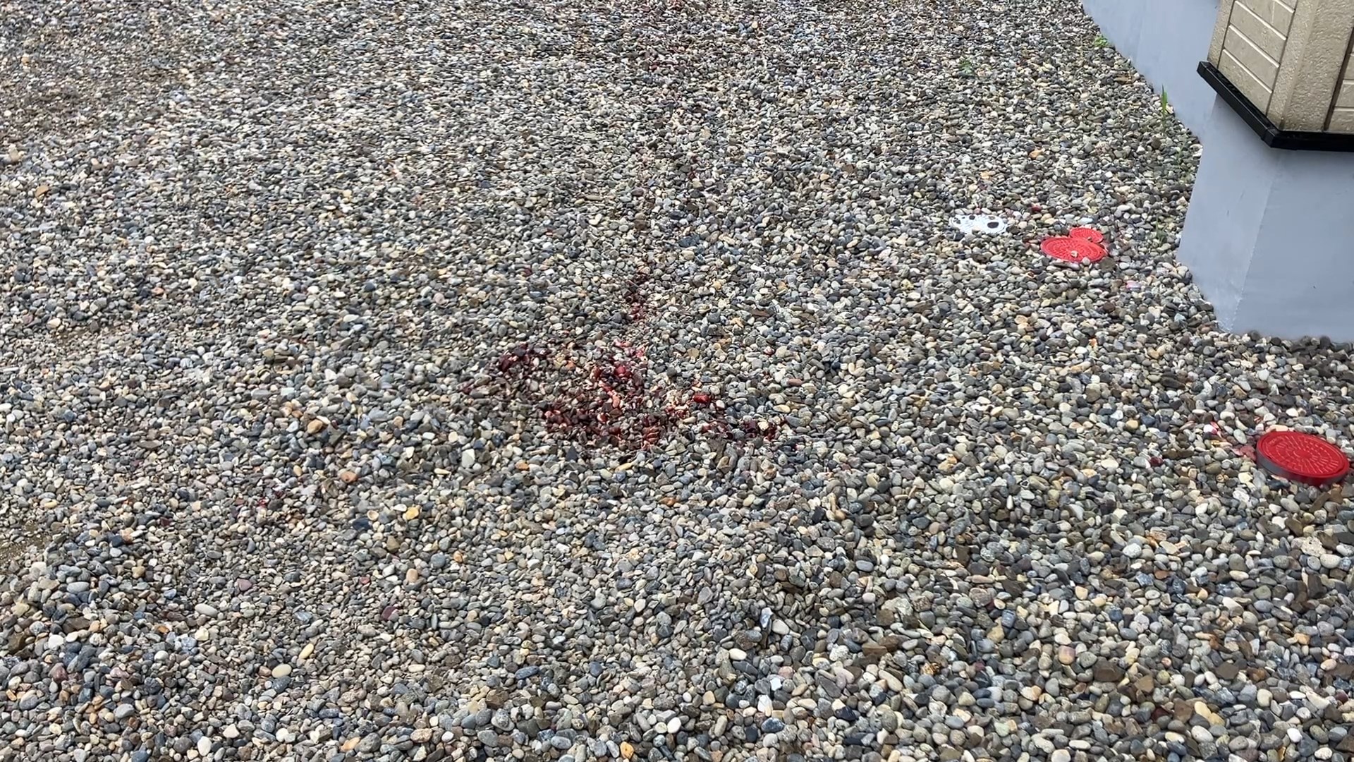 新聞配達中の男性が襲われた現場