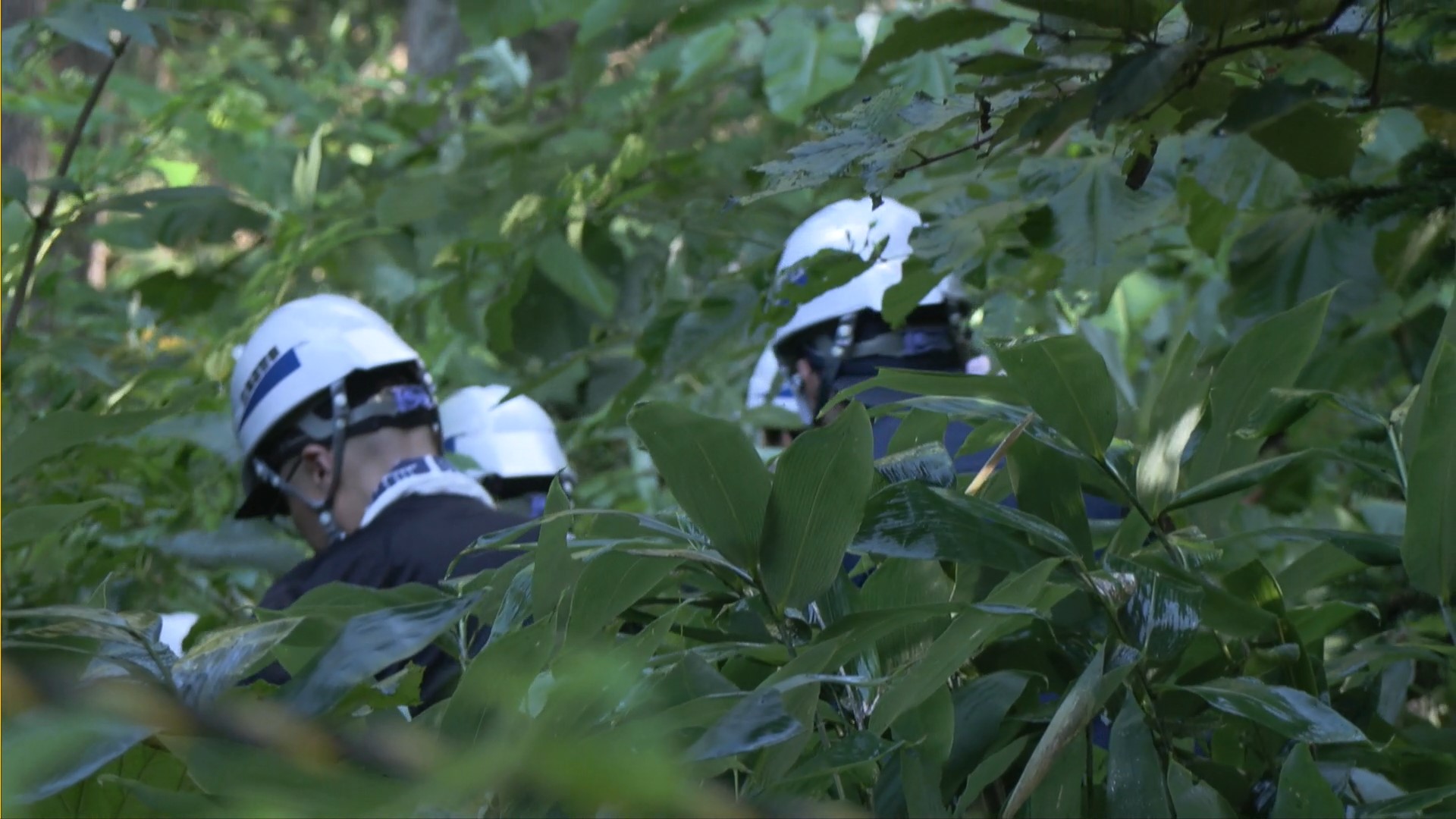 約40人態勢で山中を捜索