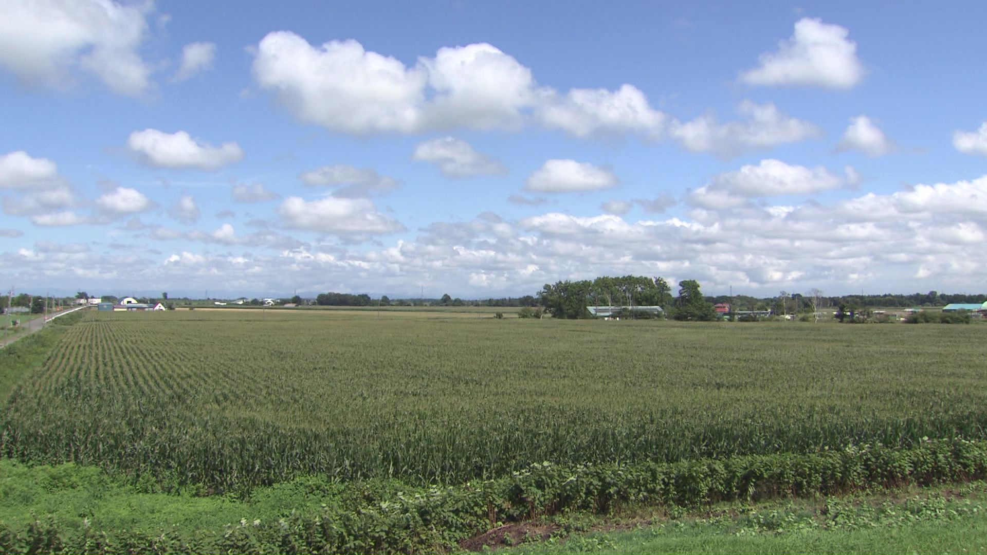 東京・世田谷区から33世帯が江別の「世田谷地区」へ
