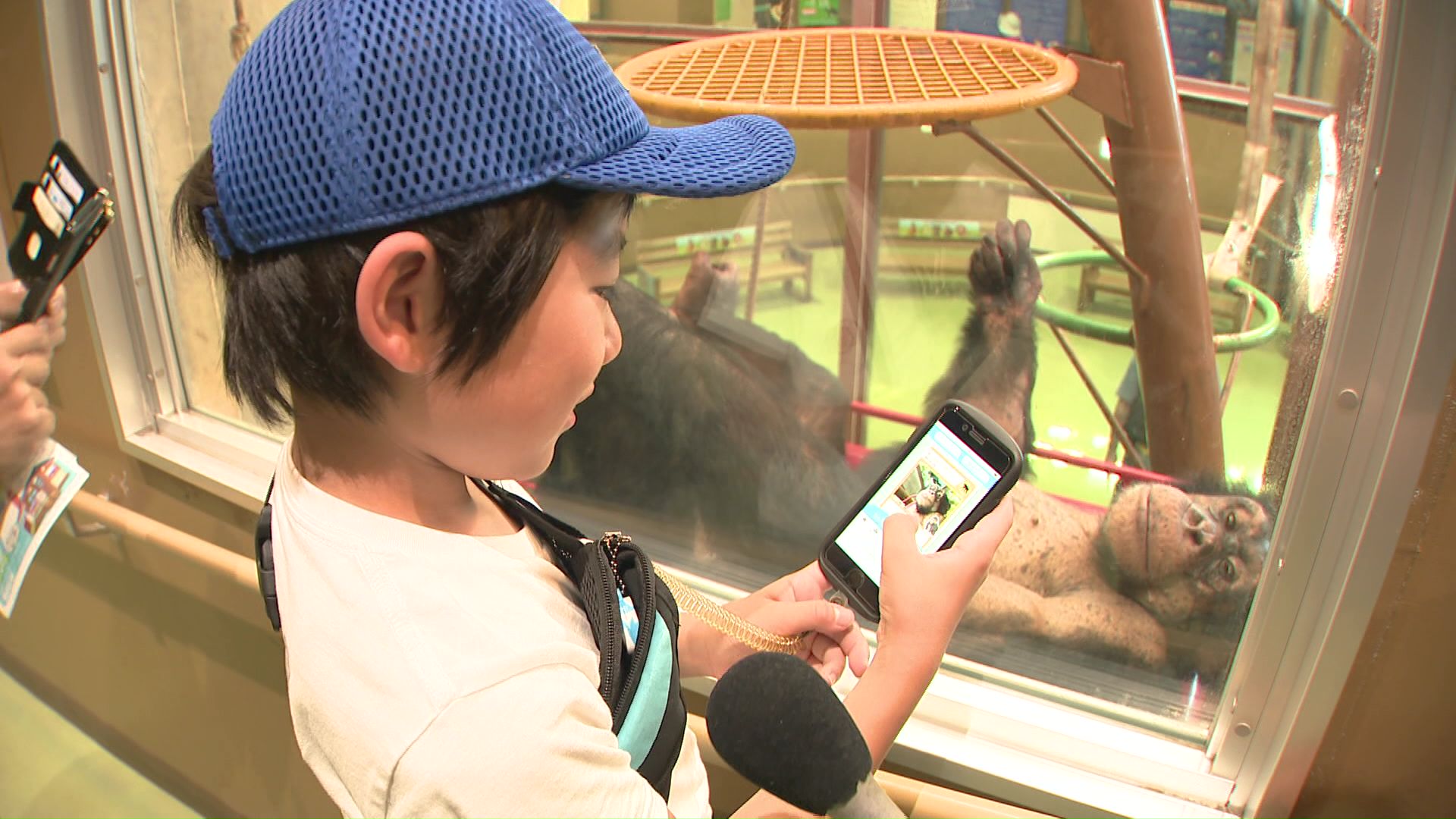 動物図鑑が作れる「MY ZOOKAN」に挑戦