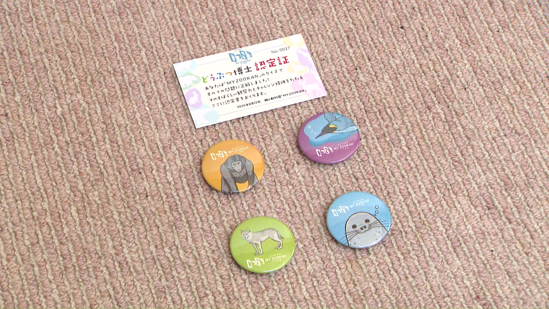 オリジナル缶バッヂやどうぶつ博士認定書をもらえる(※2025年8月13日まで)