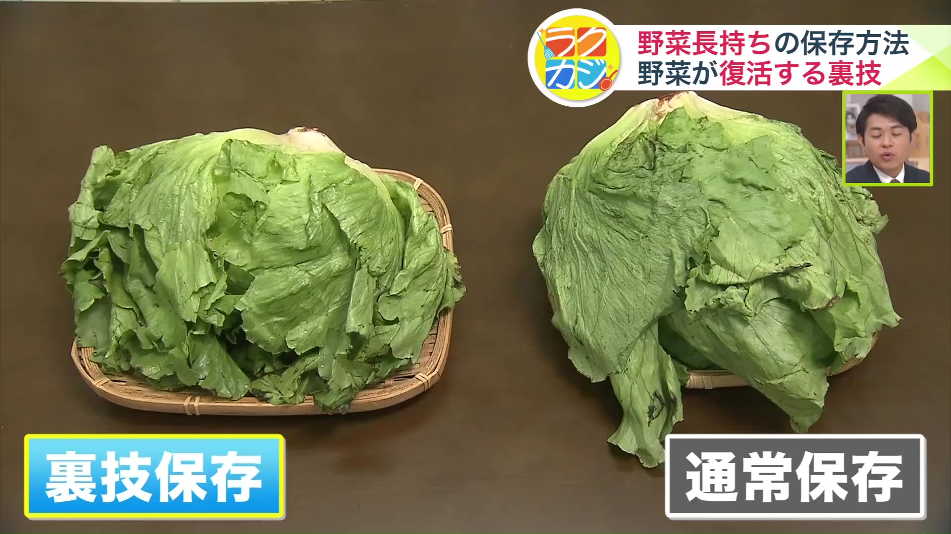 比べてみると一目瞭然!