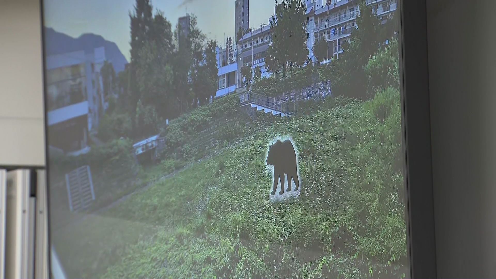 市街地にクマが出たとの想定