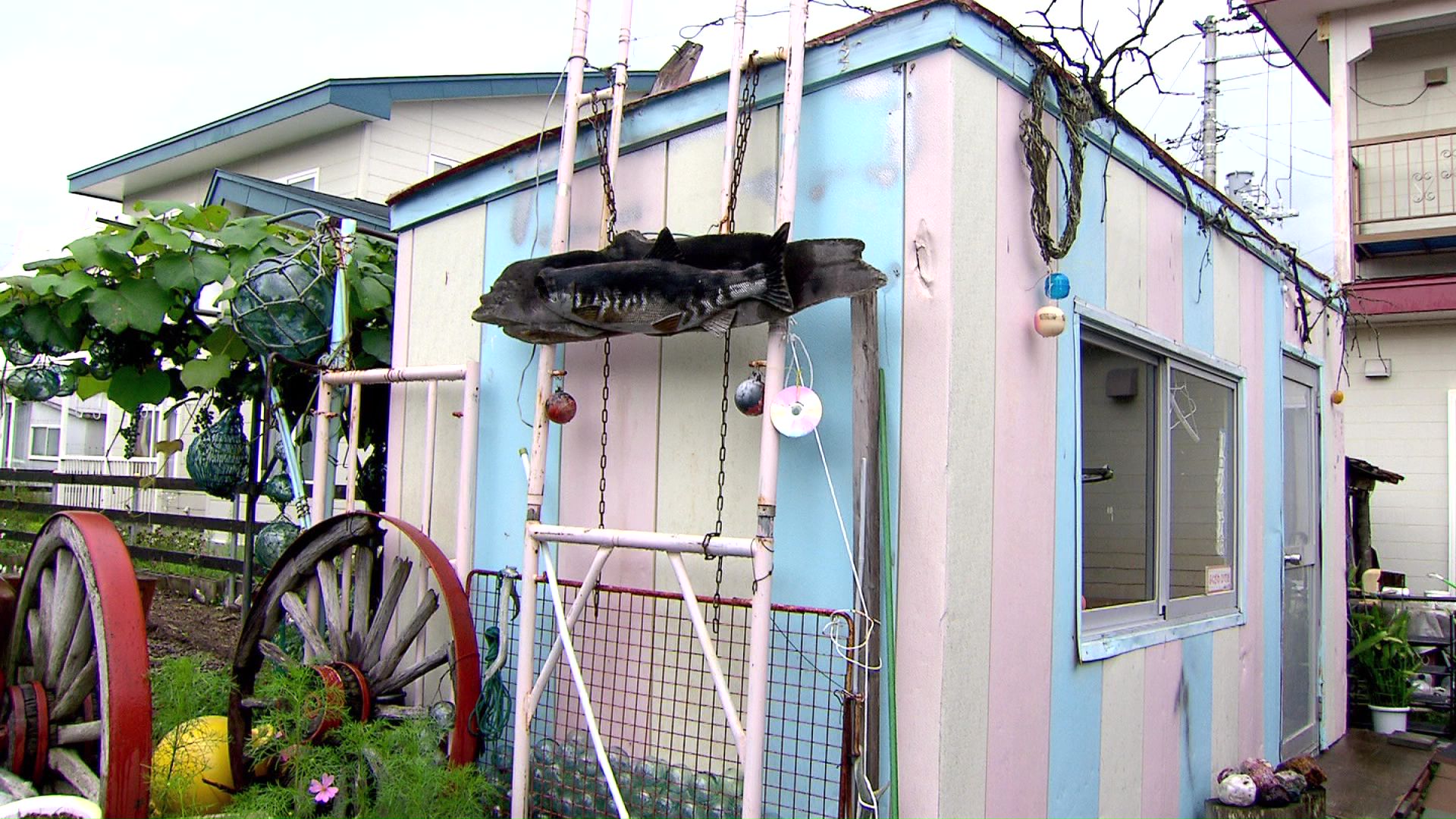 自宅の庭に建てた「日ロ友好館」