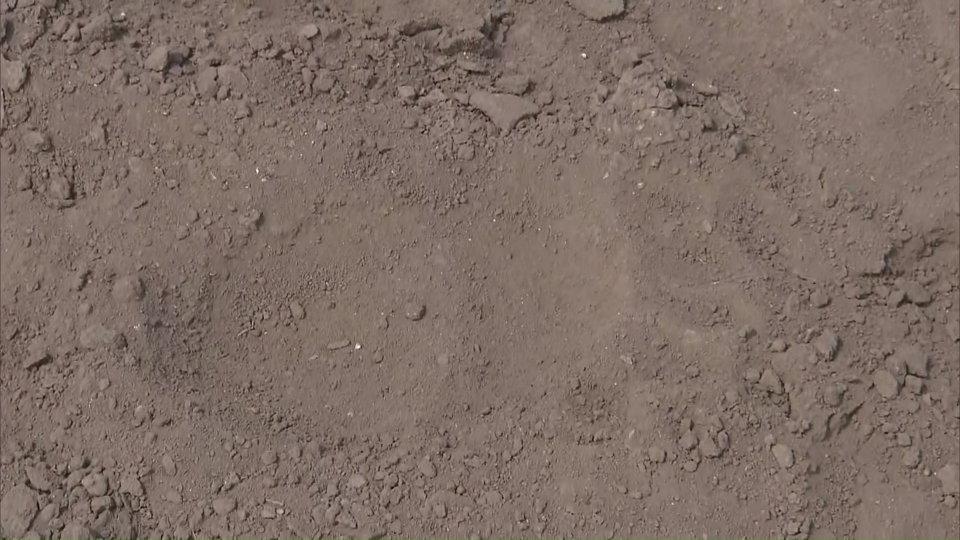 現場には幅約13センチの足跡が複数