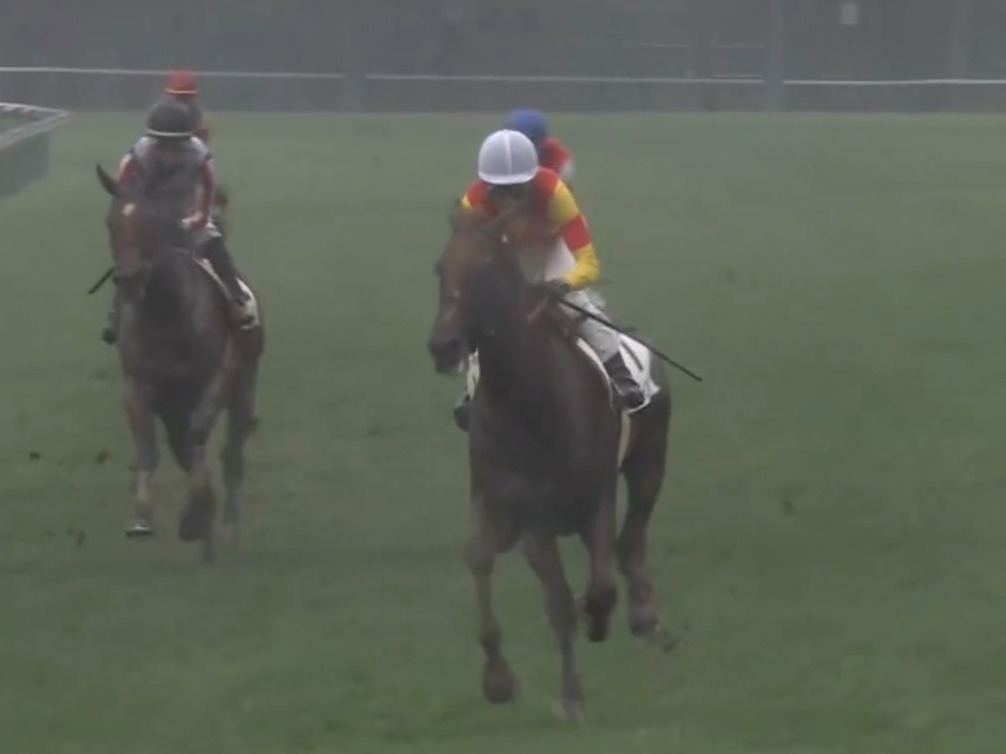 【札幌競馬】武豊ジャスティンシカゴ、堂々の逃げ切りでデビュー勝ち！藤岡佑介ジーティーメティオは追い上げもクビ差2着