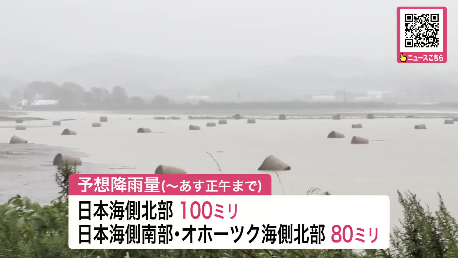 冠水して浮かぶ