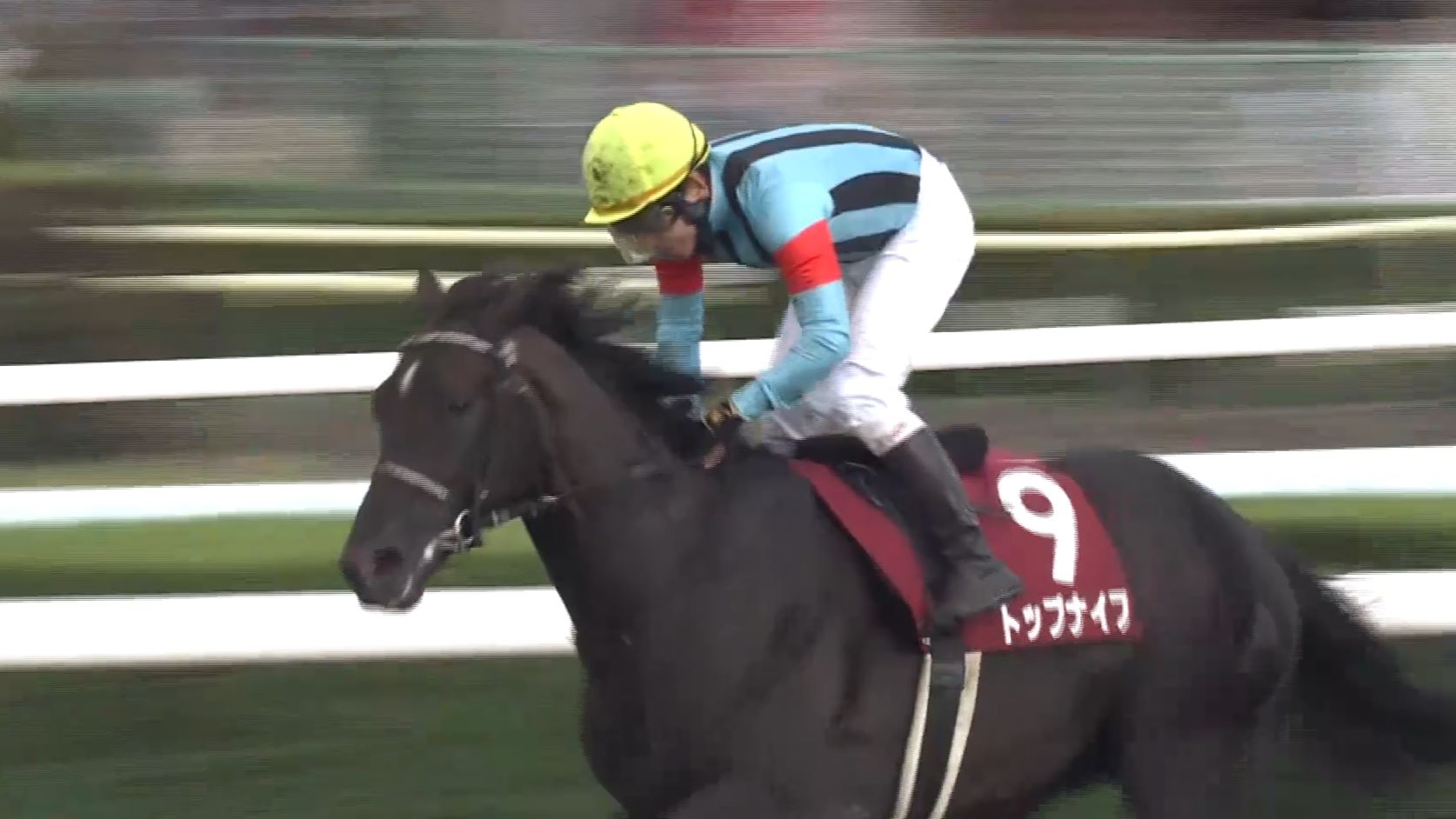 【札幌競馬】札幌記念（G2)は波乱の決着！10番人気のトップナイフが優勝 2着はココナッツブラウン