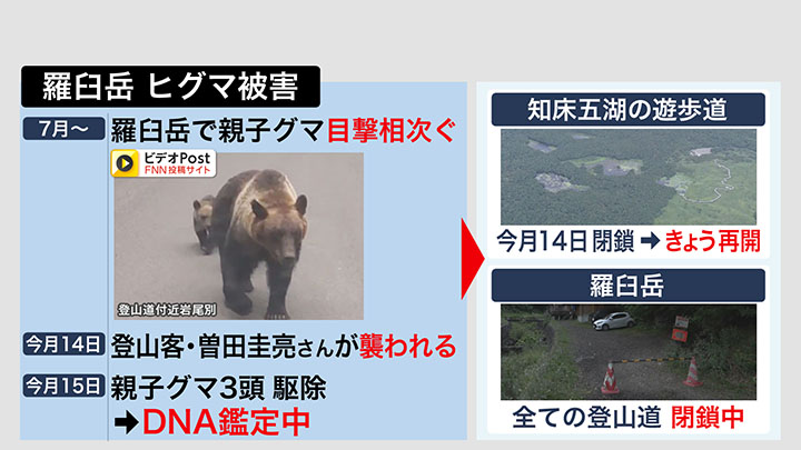 羅臼岳 ヒグマ被害