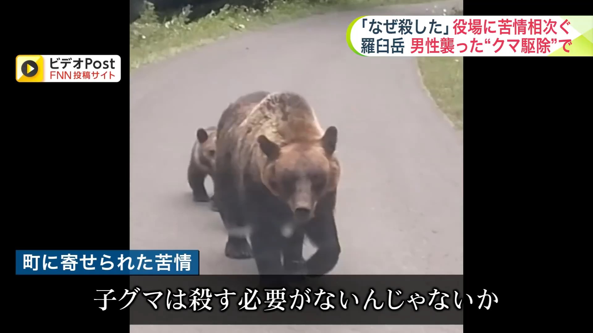 親子グマの駆除に苦情が…