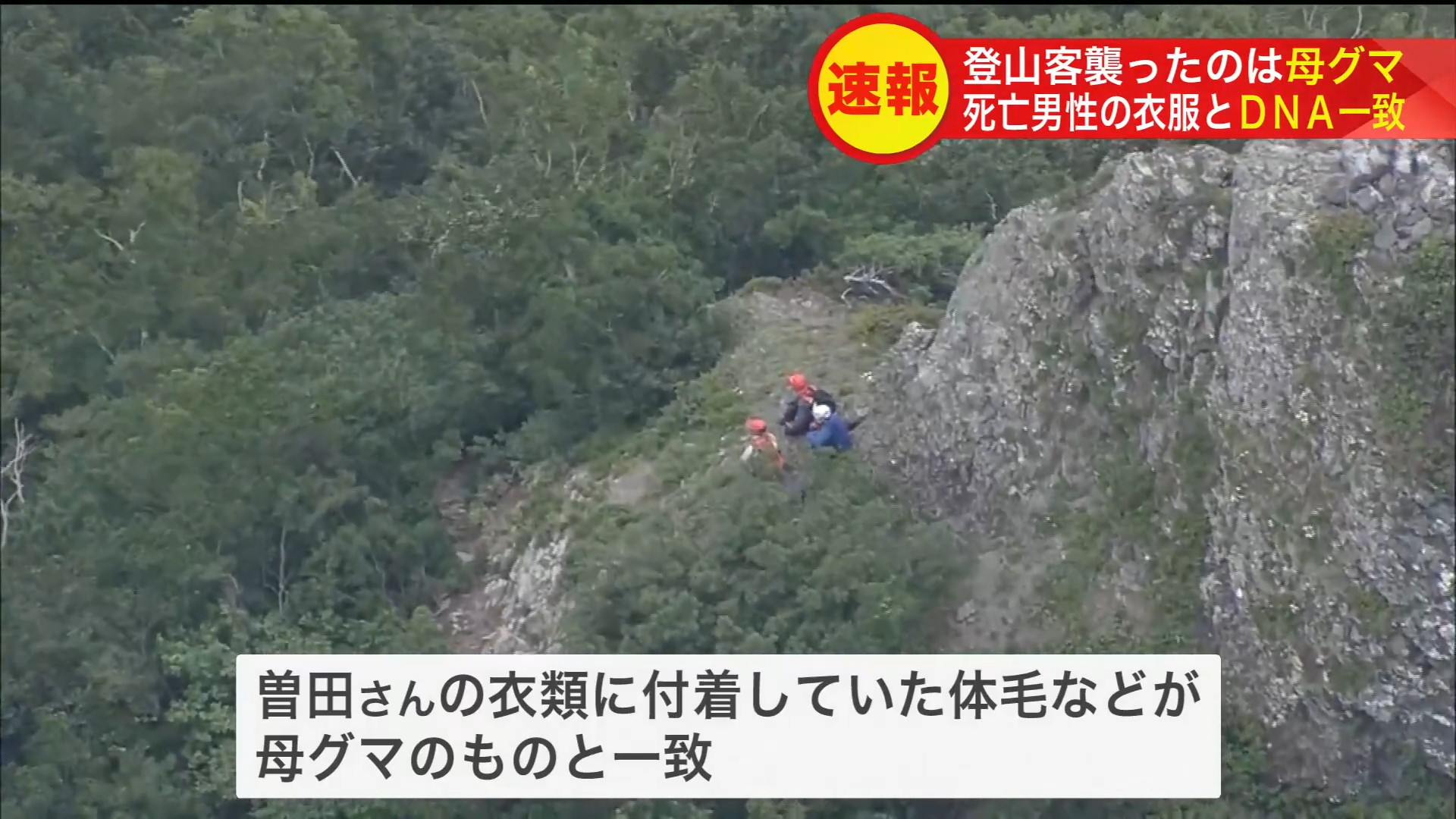 衣類に付着していた体毛などが母グマのものと一致