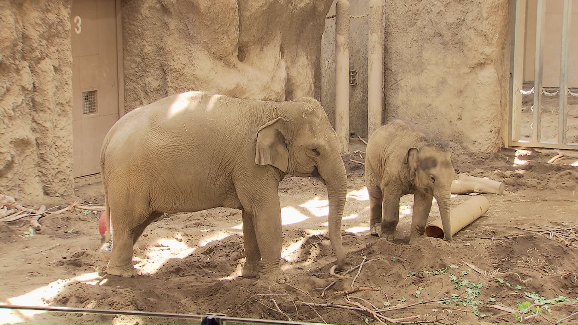 トレーニングも順調