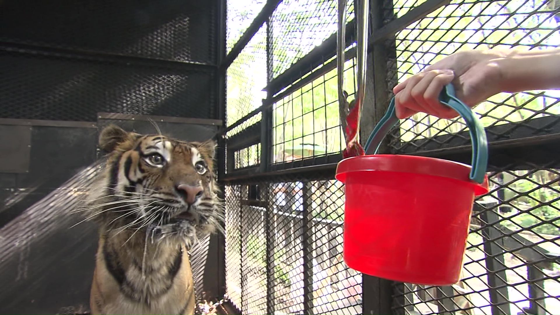 札幌市南区の動物園「ノースサファリサッポロ」(資料)