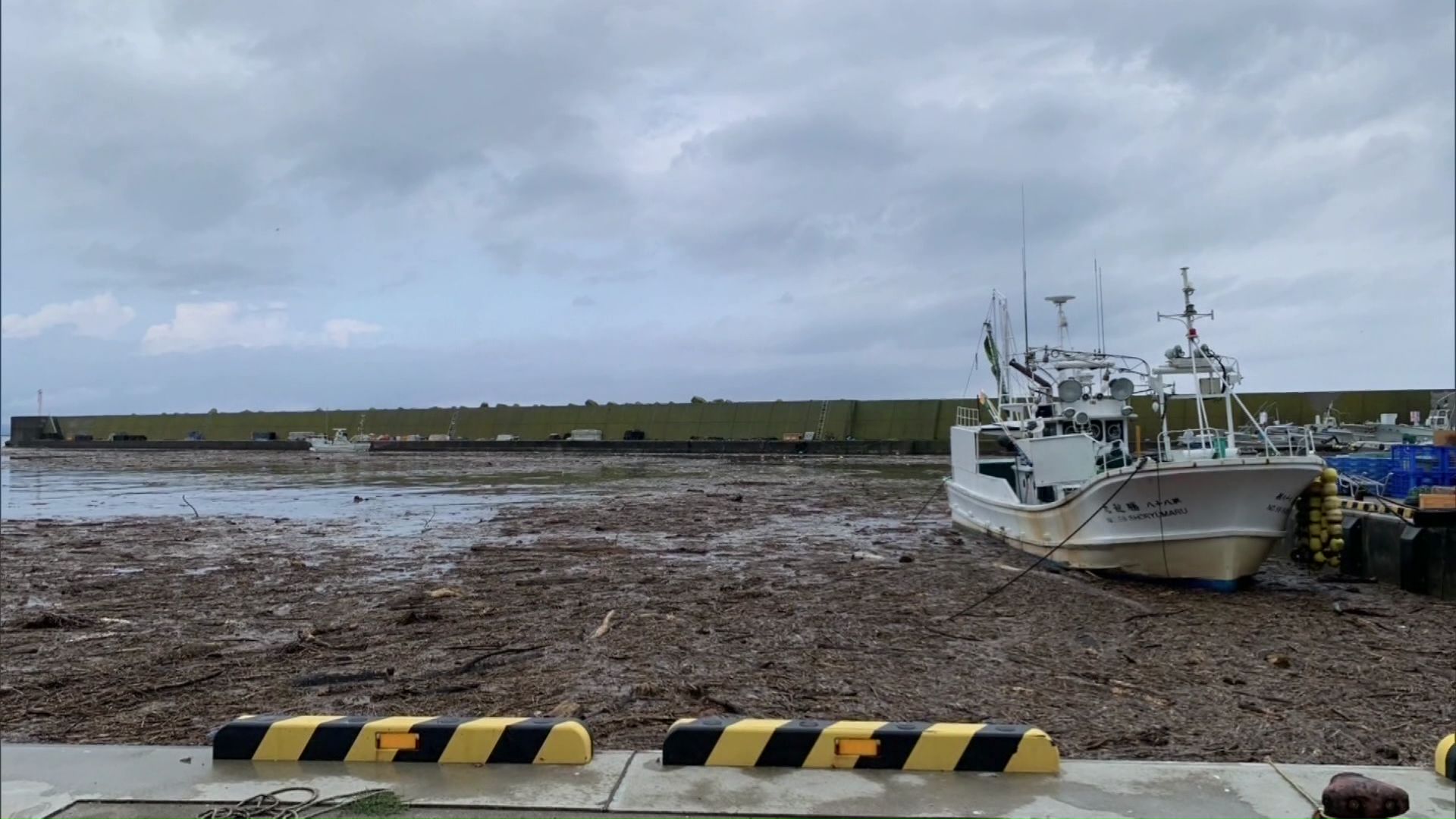 流木で埋め尽くされた八雲町の落部漁港（提供：落部漁協）