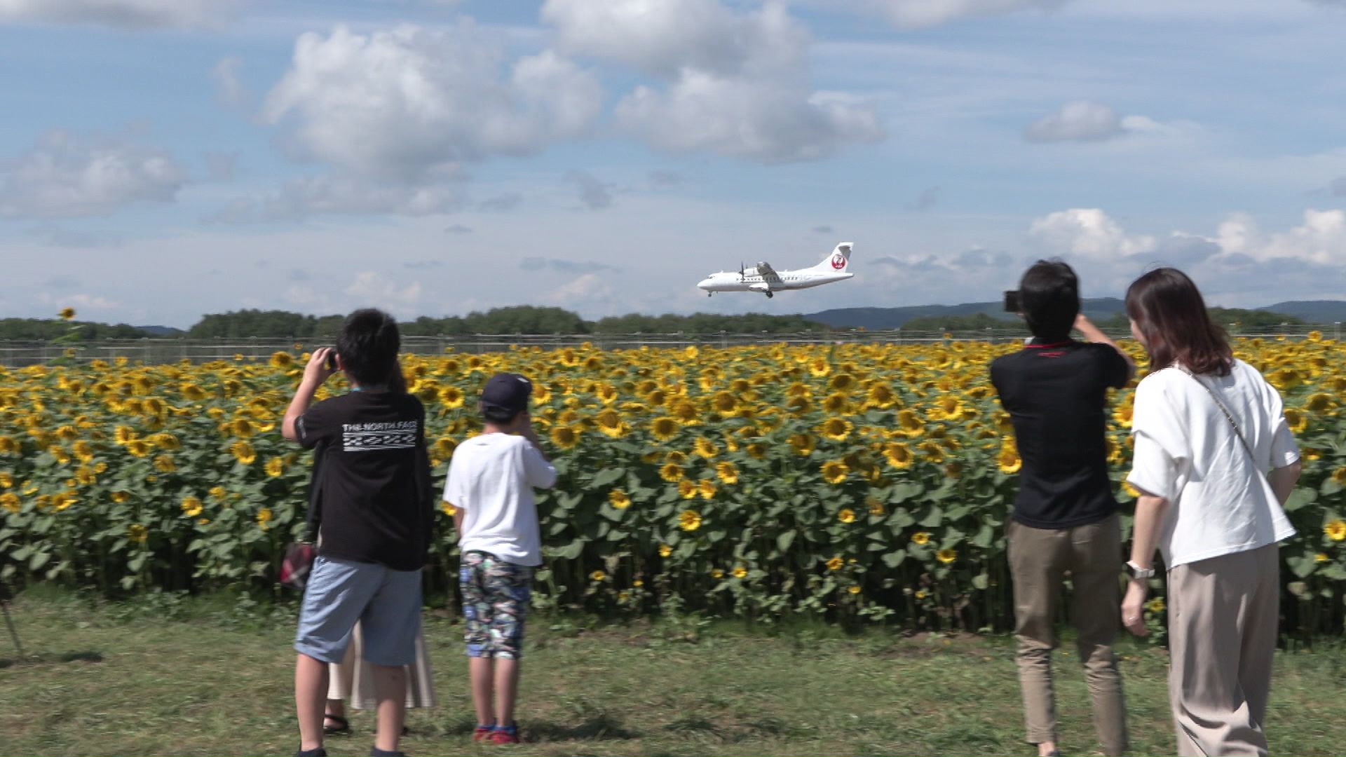 旅客機とヒマワリが同時に撮れる全国でも珍しいスポット