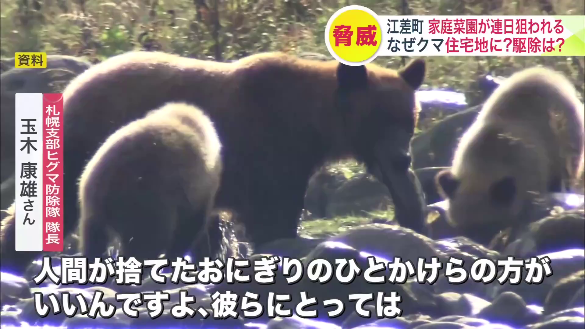 クマ出没は今後も続く可能性が高い(資料)