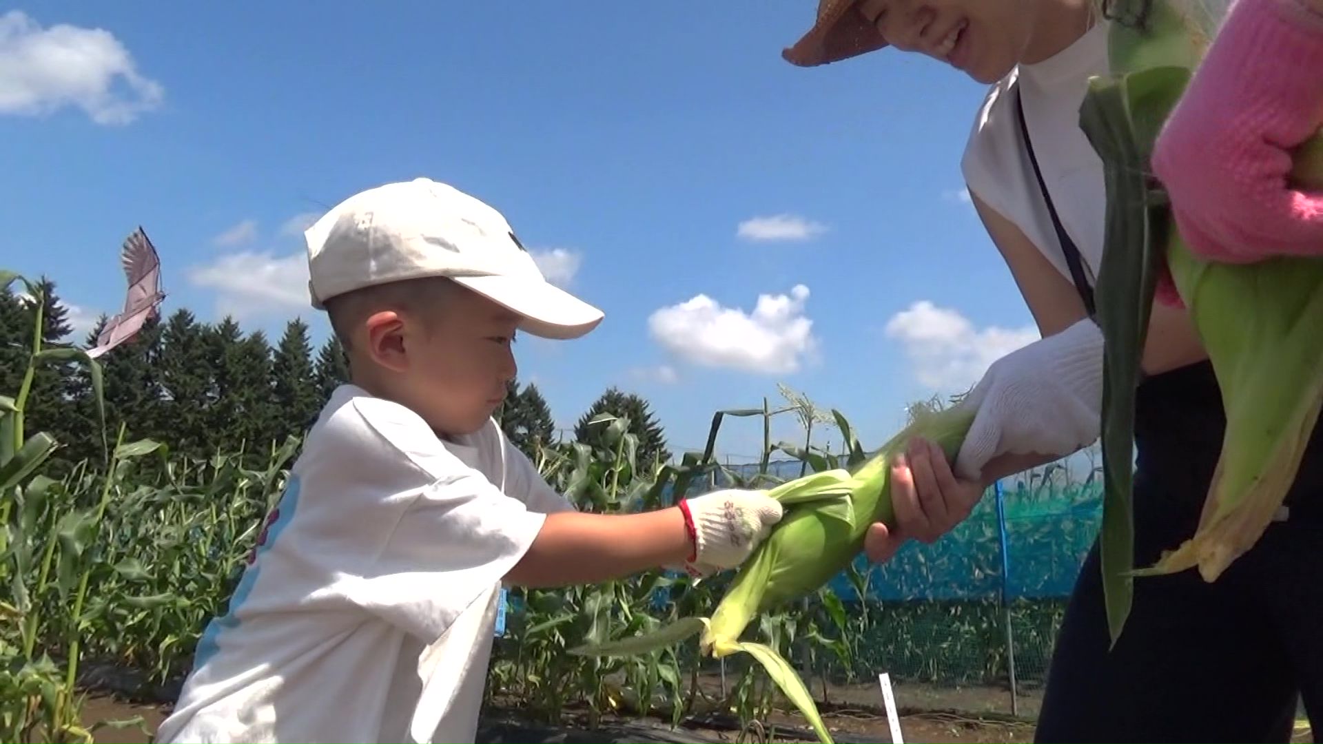 農業とふれあえる 「ホクレンくるるの杜」