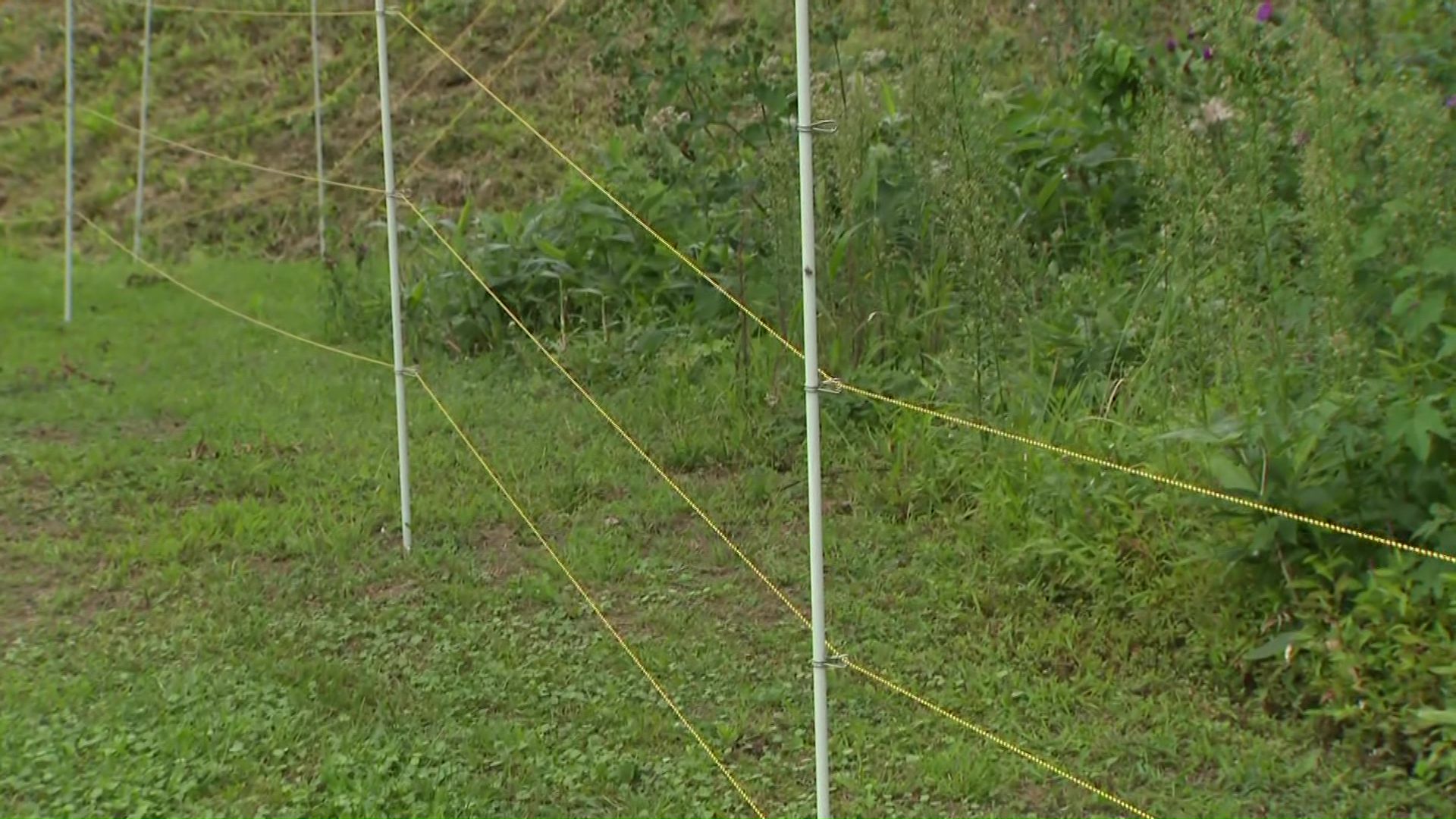 学校周辺に電気柵と監視カメラを設置