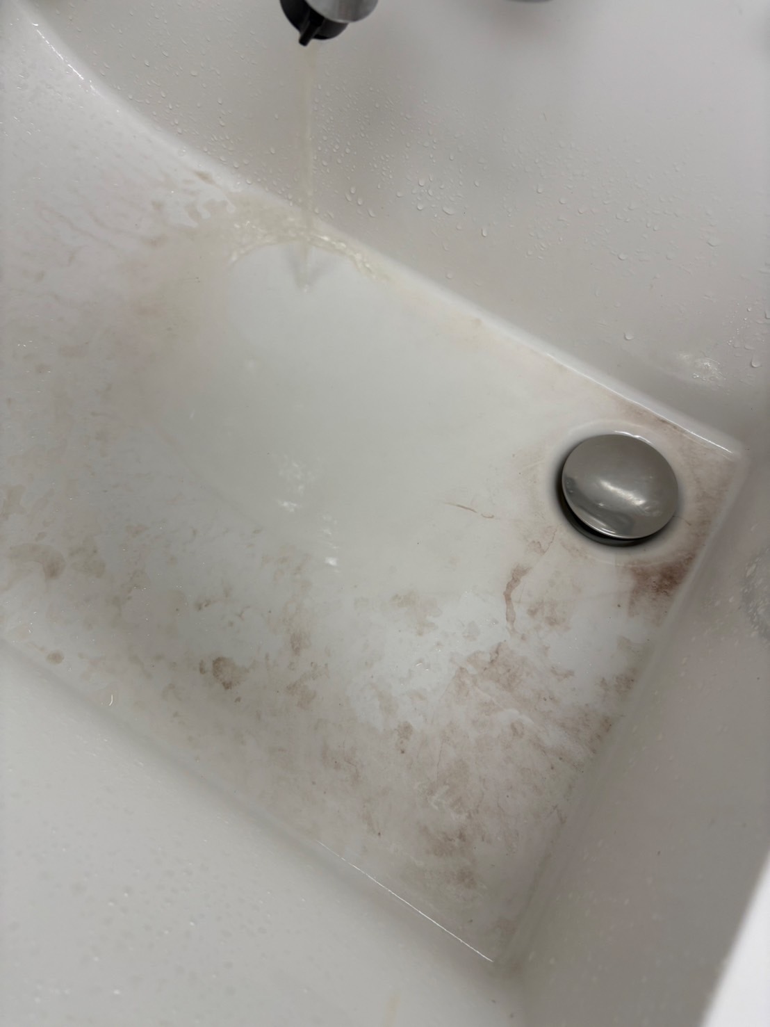 サビが出た様子 視聴者撮影(24日)