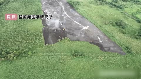 工事の様子(提供:猛禽類医学研究所)