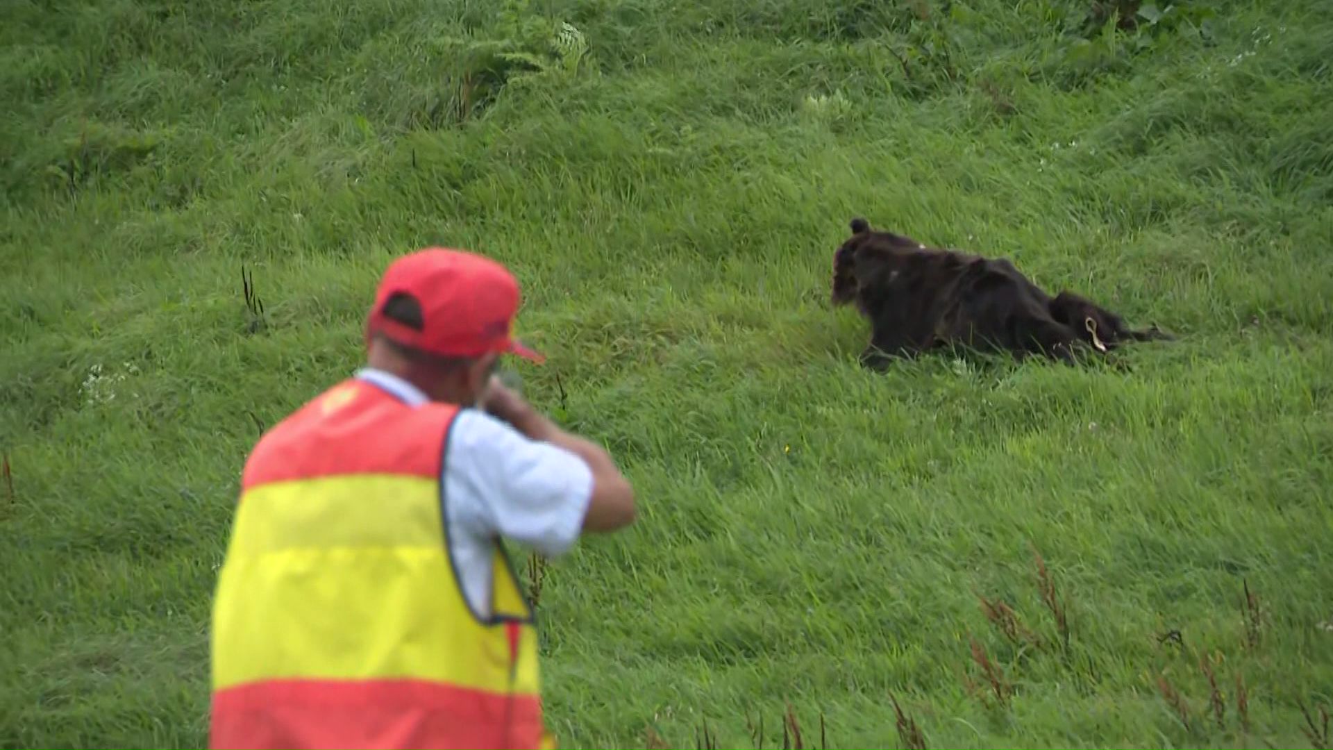 江差町で行われたクマ駆除の訓練の様子