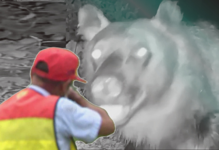 ヒグマハンターは命を懸けたボランティア