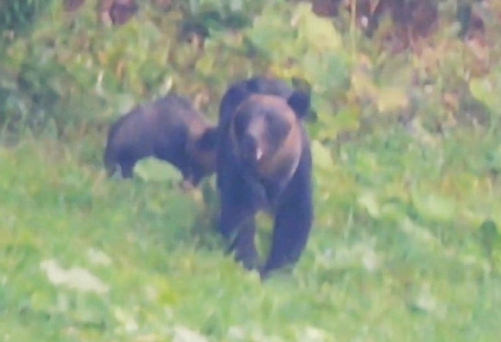 撮影:視聴者(8月26日午後4時ごろ)