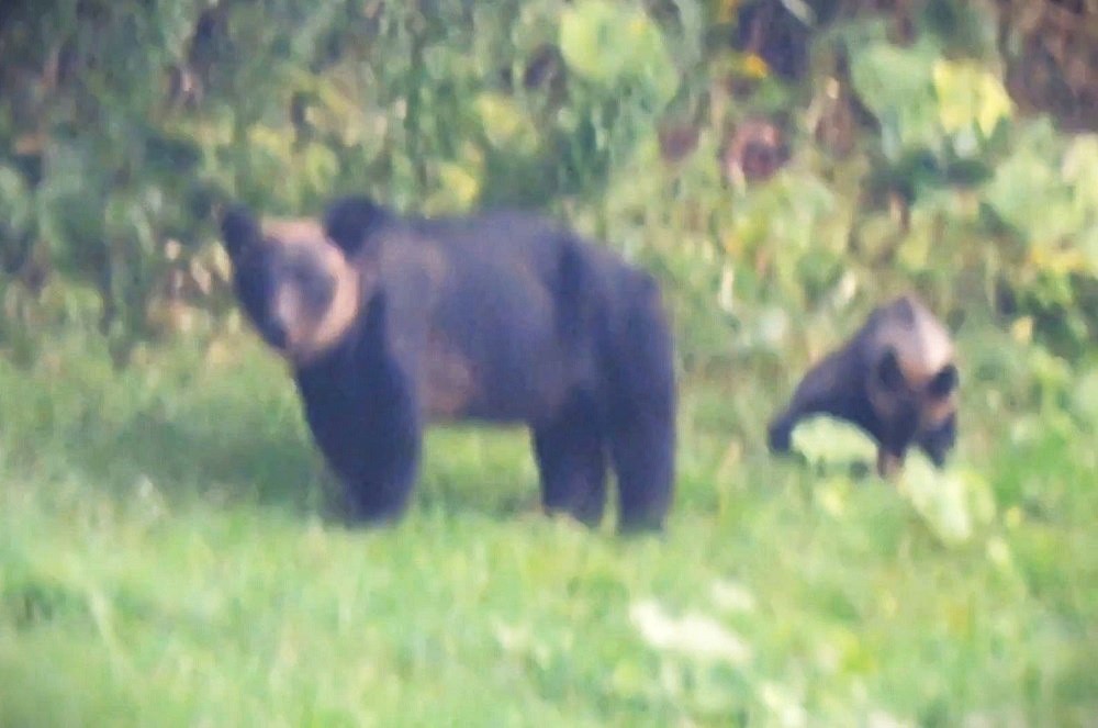 撮影:視聴者(8月26日午後4時ごろ)