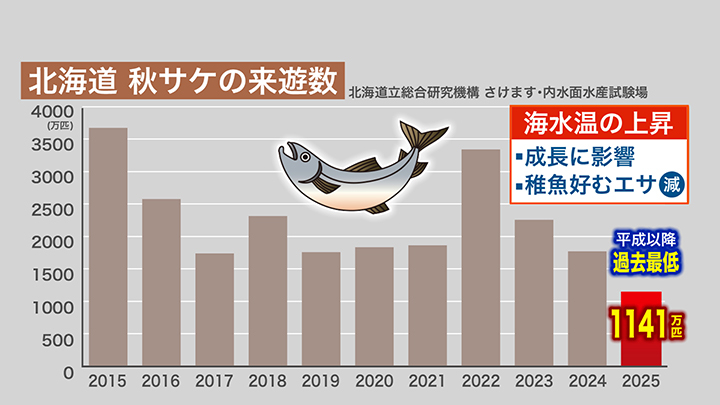 北海道 秋サケの来遊数
