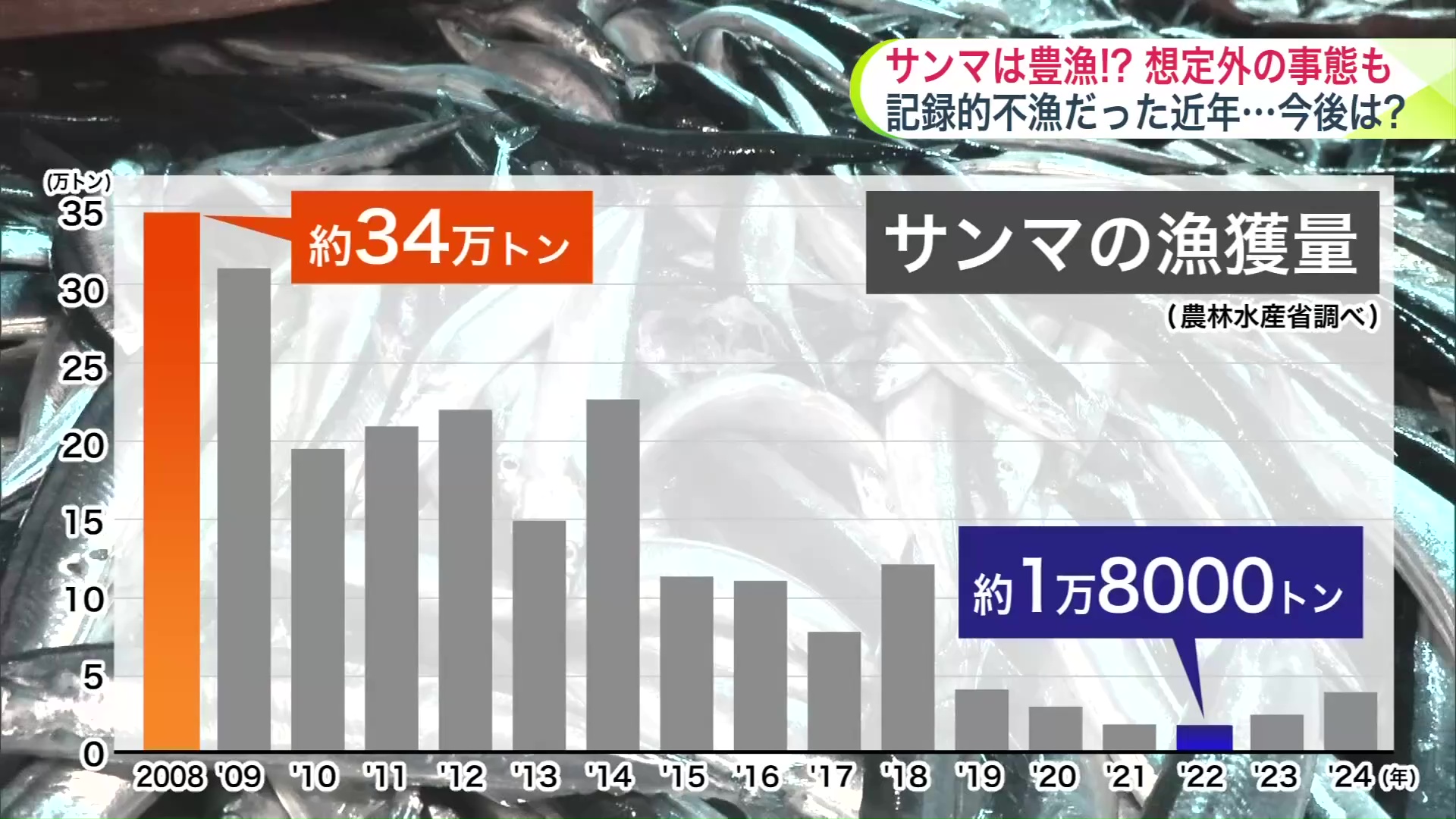 サンマの漁獲量は近年低調