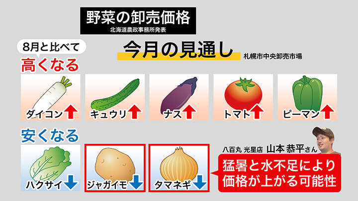 野菜卸売価格の9月の見通し