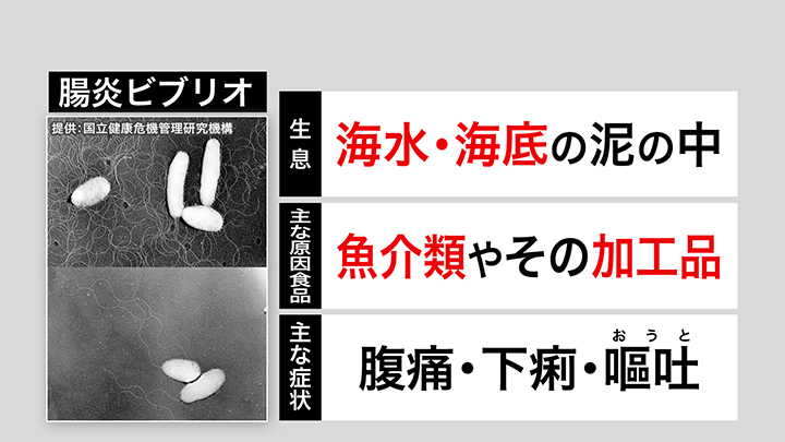 腸炎ビブリオ