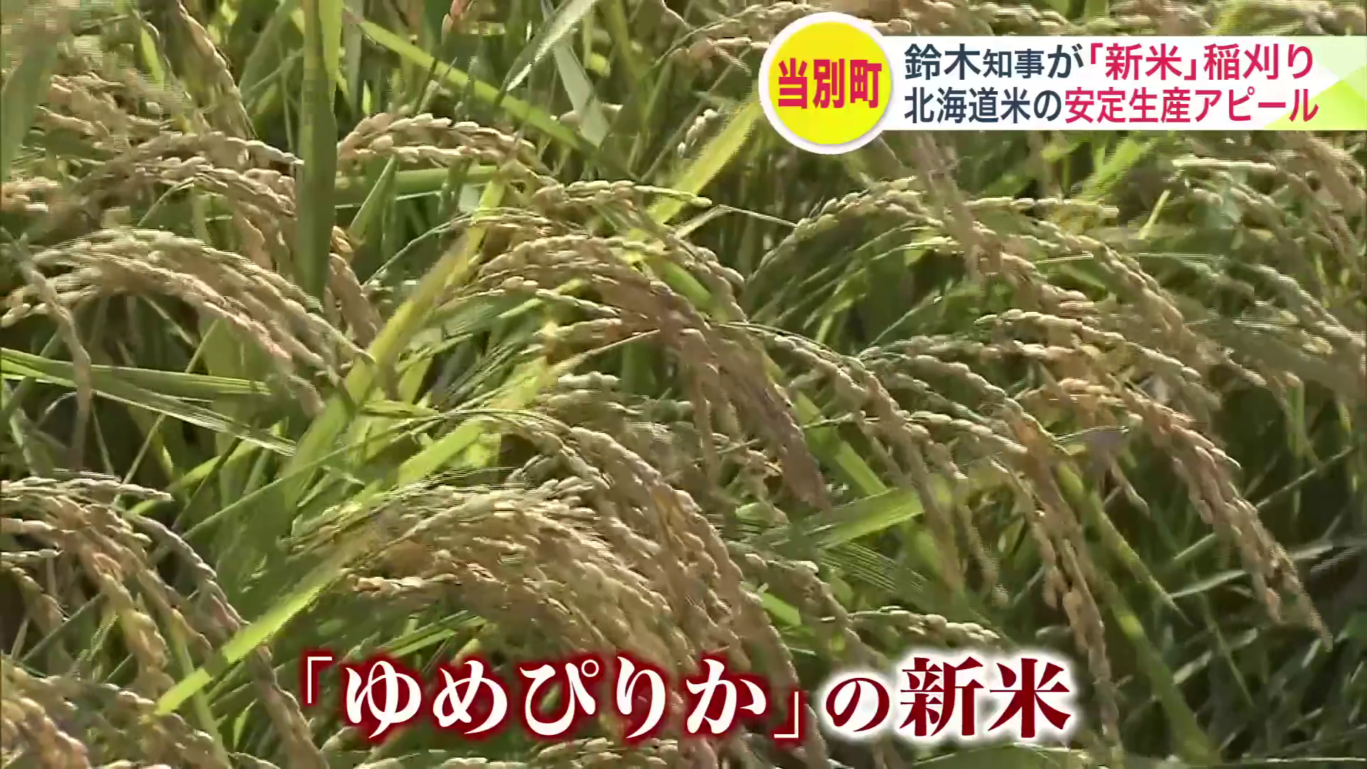 ブランド米「ゆめぴりか」