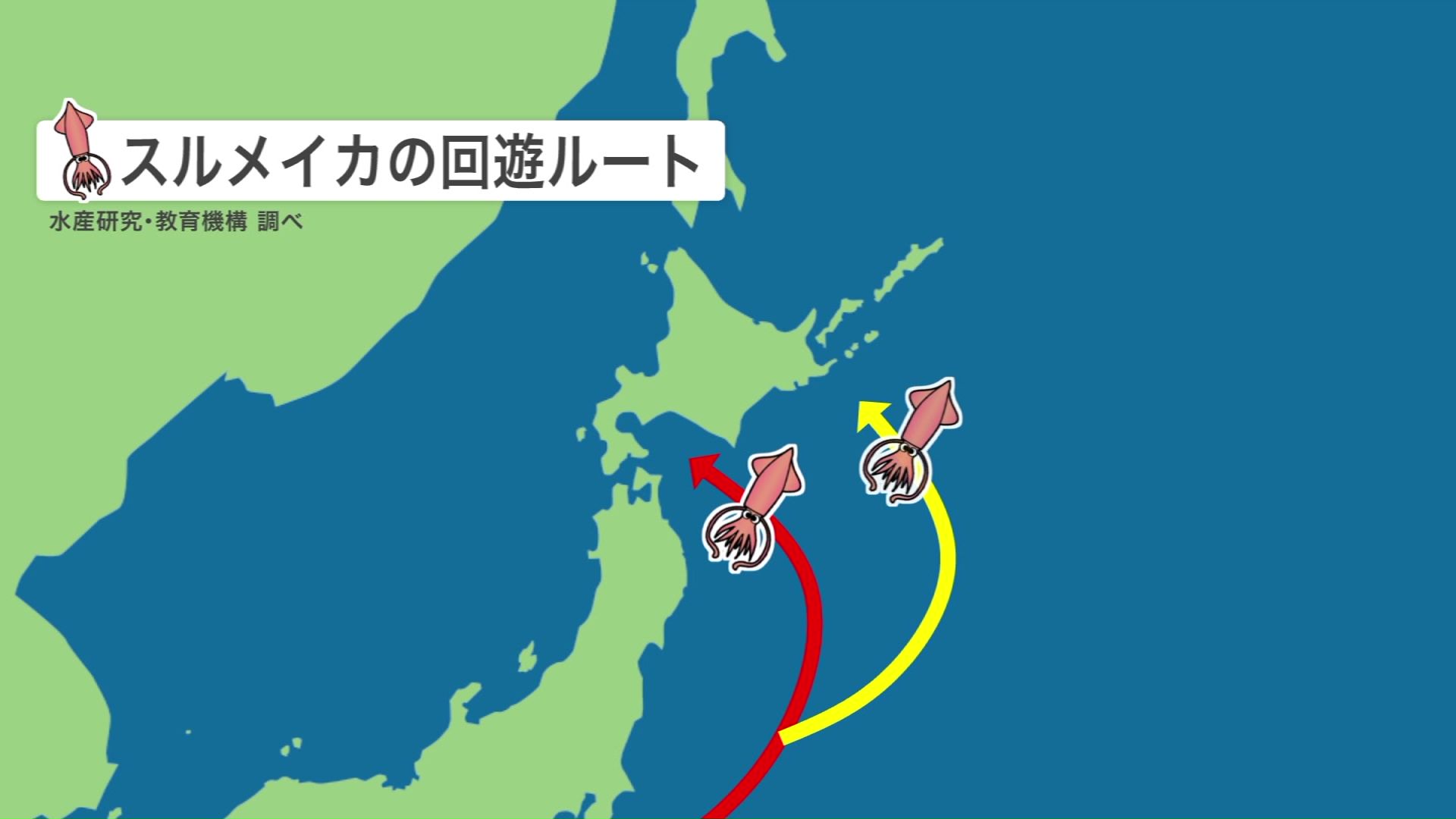 根室にイカがくる理由とは
