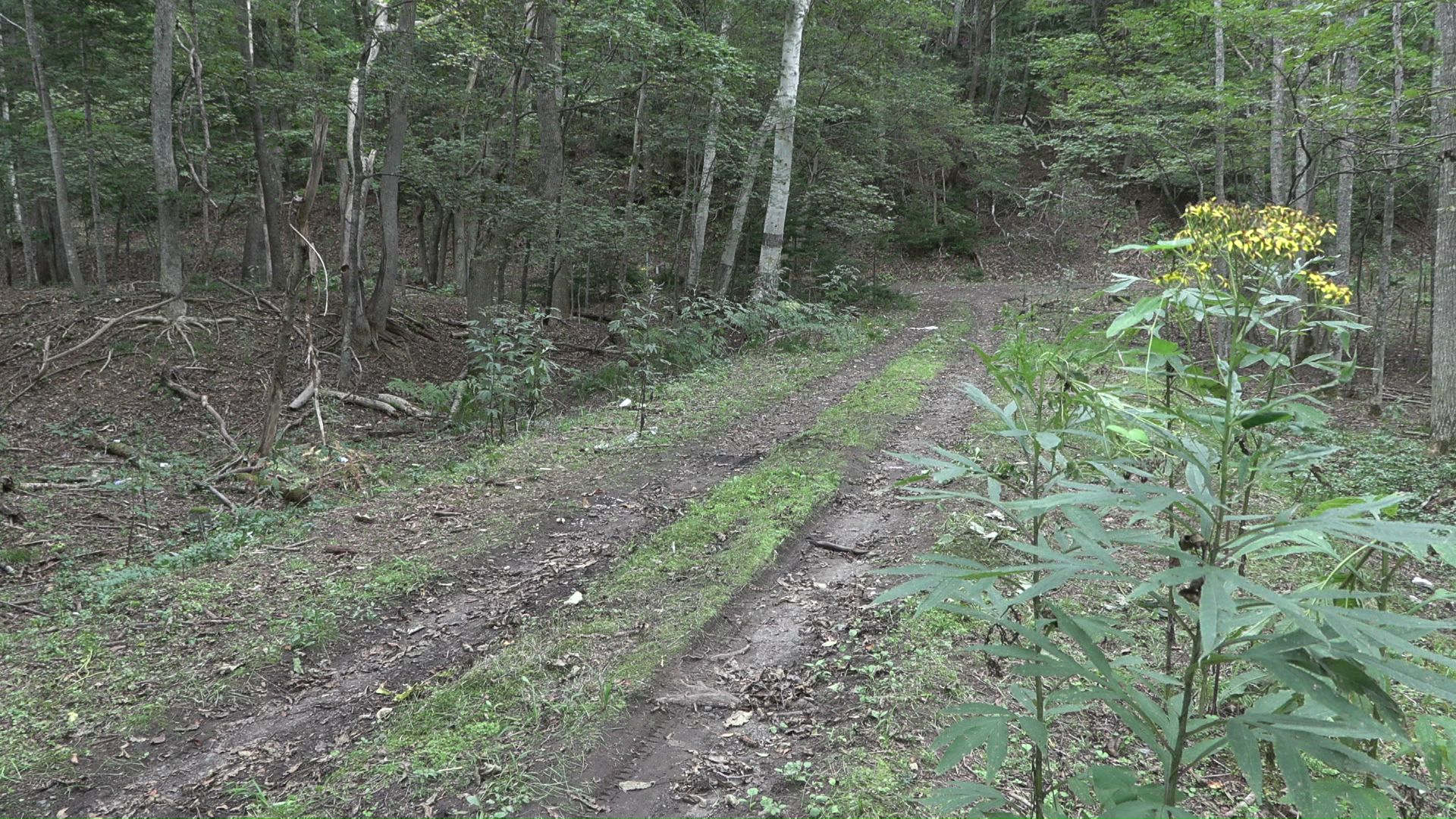 3人の遺体が見つかった現場付近