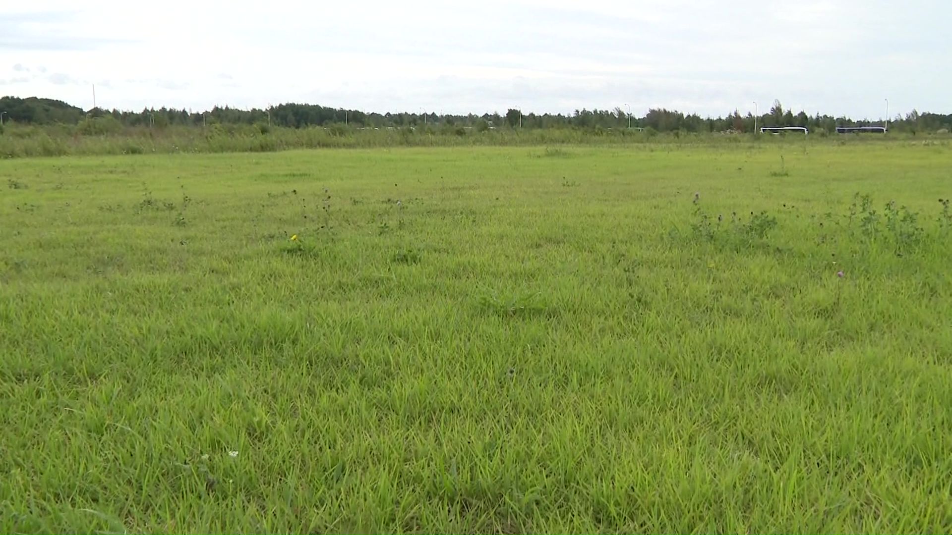 新たなD駐車場を設ける予定