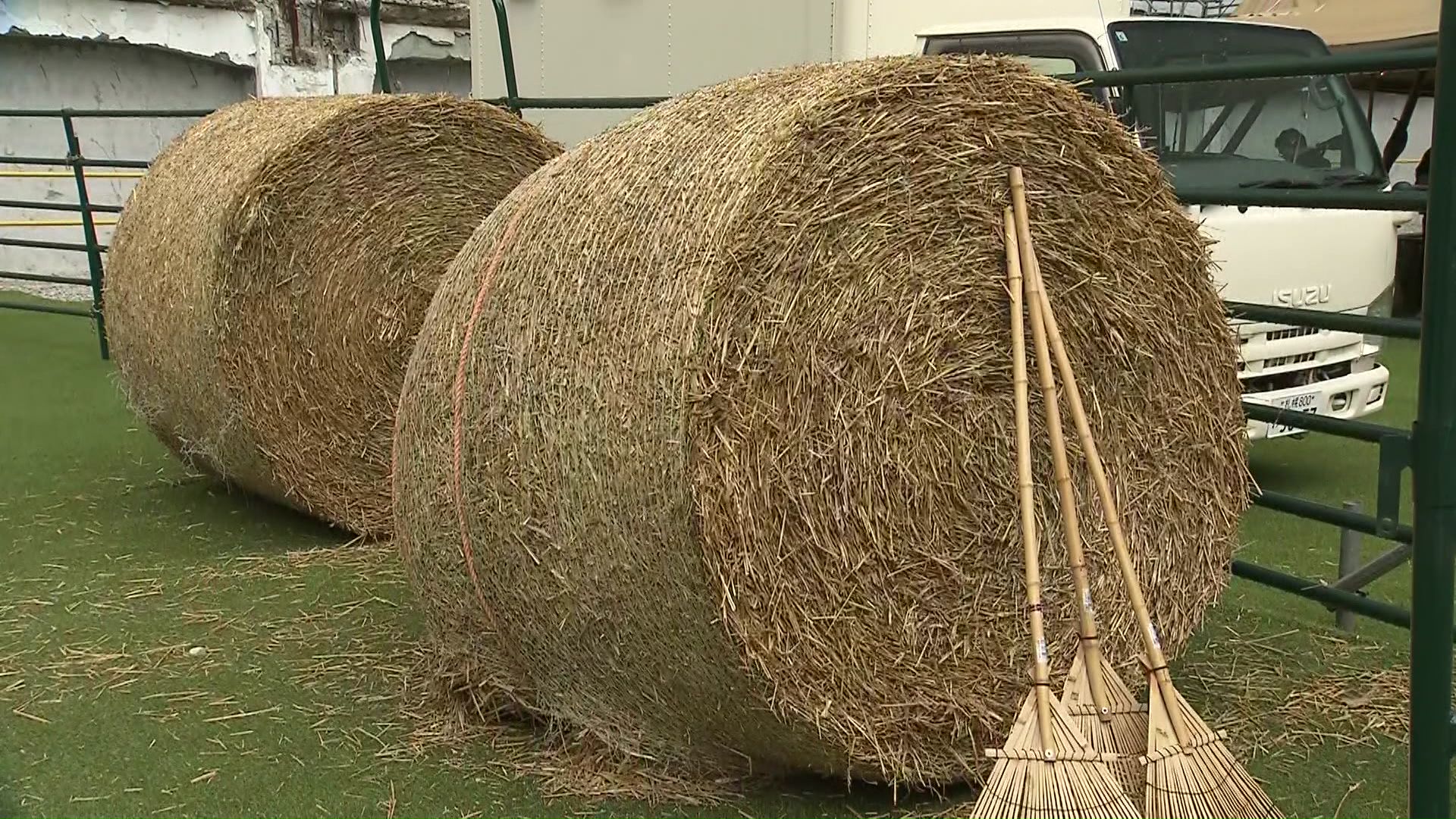 札幌の中心に牧草ロールが!