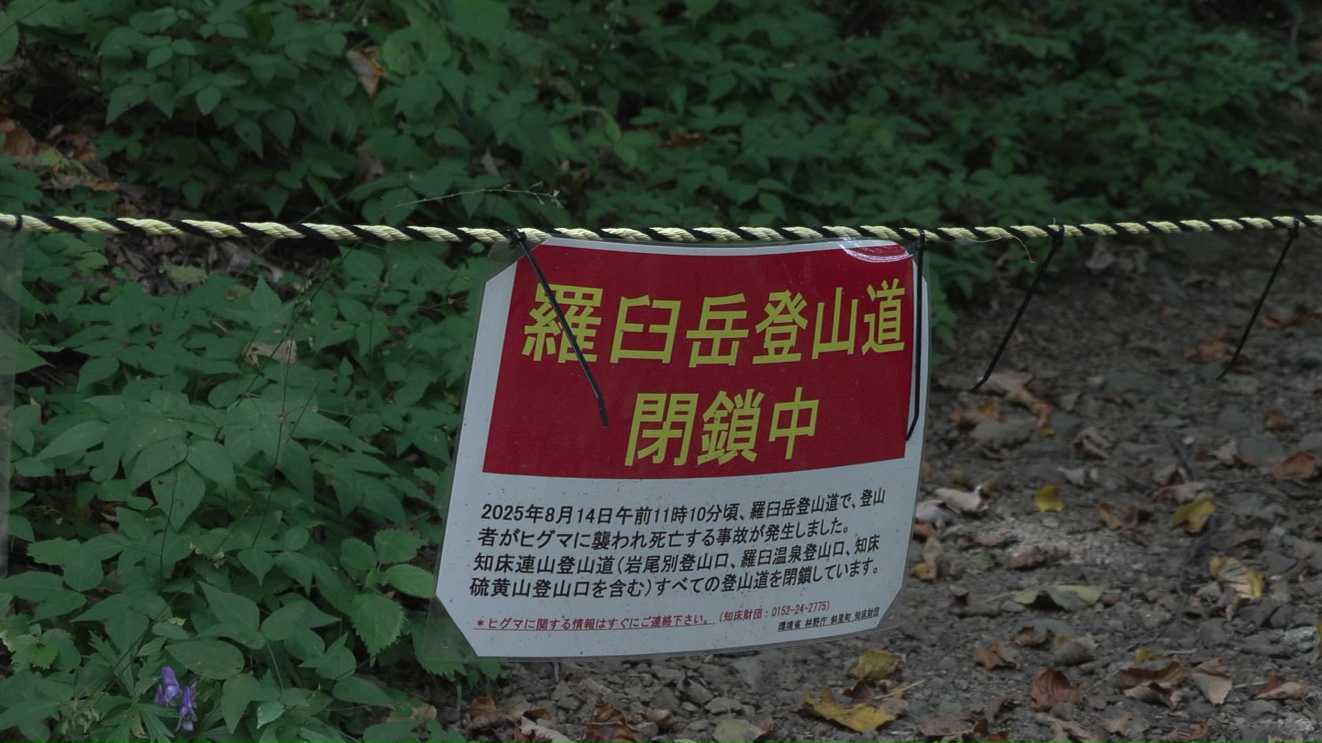 登山道の再開は2026年に