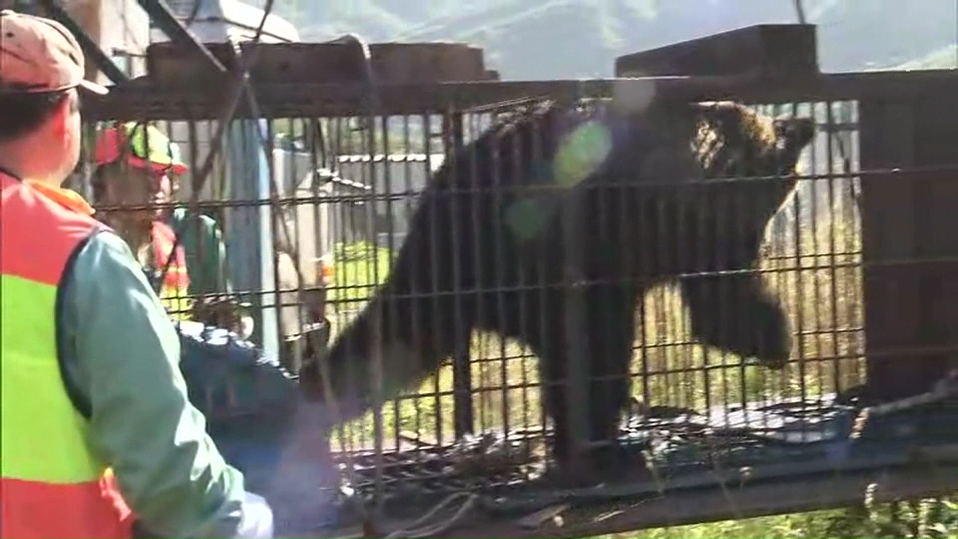 【緊急銃猟】北海道猟友会はハンターの法的リスクを想定し中止できると全道支部に通知