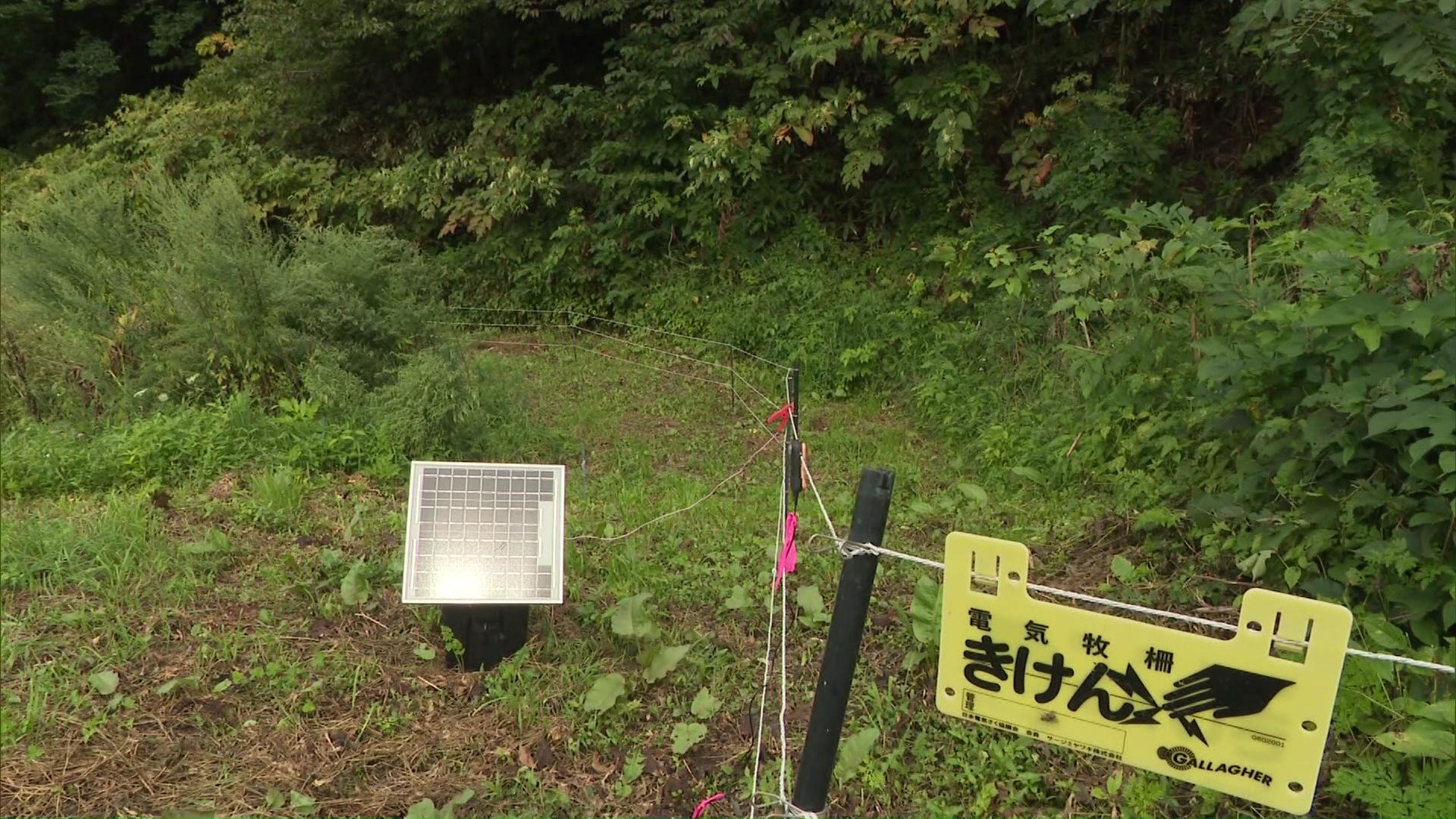 電気柵の設置は大きな負担