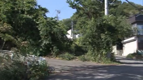 クマが目撃された現場付近(小樽市松ケ枝2丁目)