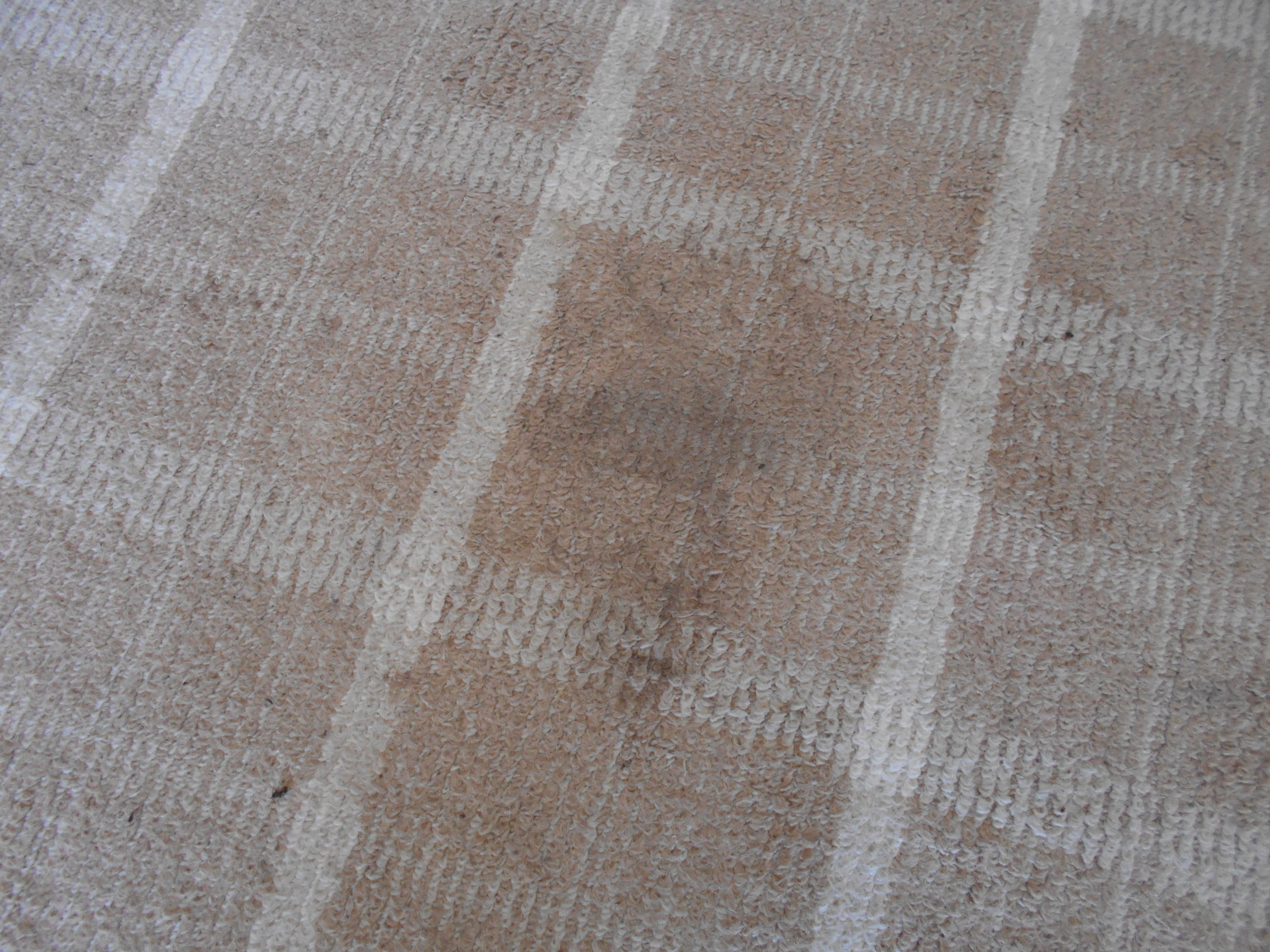 部屋の中に残されたクマの足跡(提供:北海道警)