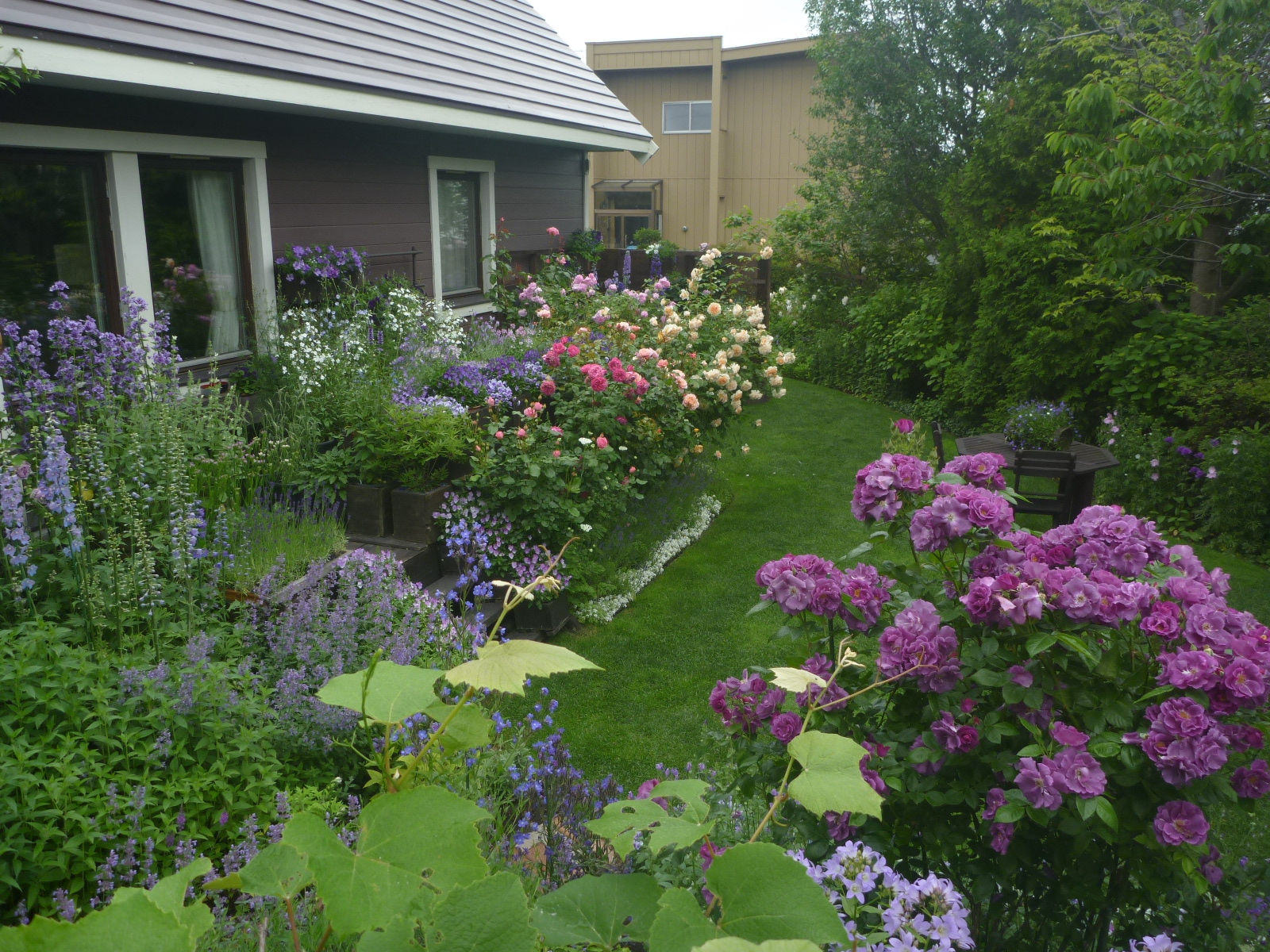 杉若さんのオープンガーデン